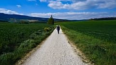 Endlich wieder weg: Zurück zur Natur auf dem Jakobsweg