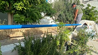 Ο κήπος στο δημοτικό σχολείο της Κιμώλου