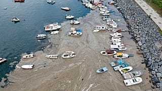 Η θαλάσσια βλέννα στον Μαρμαρά