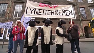 Les écologistes critiquent l'impact environnemental de l'île artificielle destinée officiellement à protéger Copenhague des inondations.