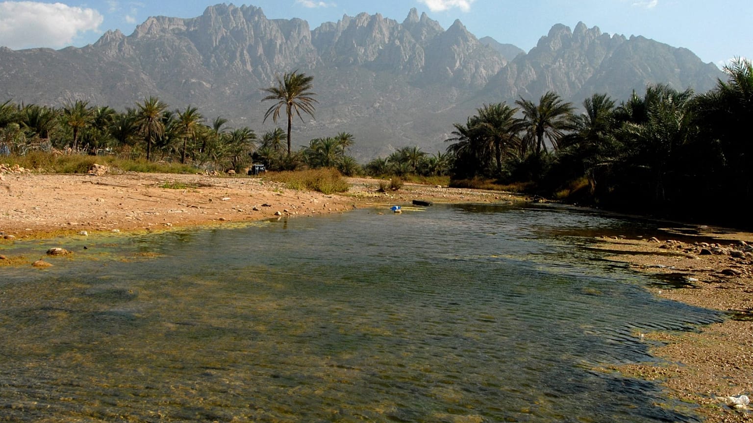 جزيرة سقطرى اليمنية، 27 مارس 2008 