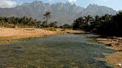 جزيرة سقطرى اليمنية، 27 مارس 2008 