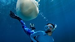 Celine Cousteau diving with jellyfish