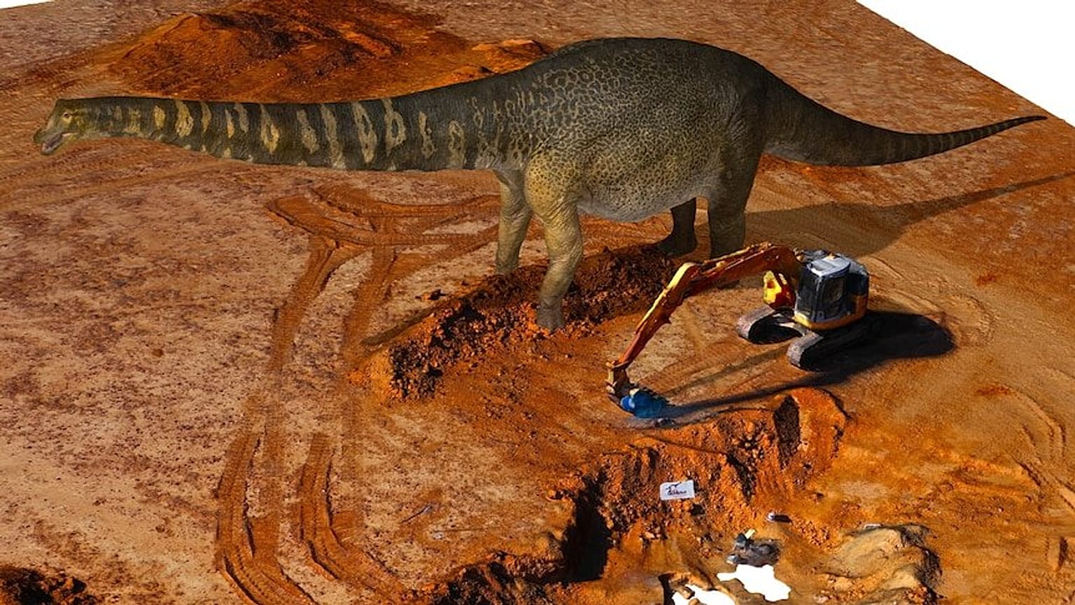 Fotó: Queensland Museum 