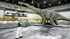I paleontologi hanno scoperto una nuova specie di dinosauro gigante 