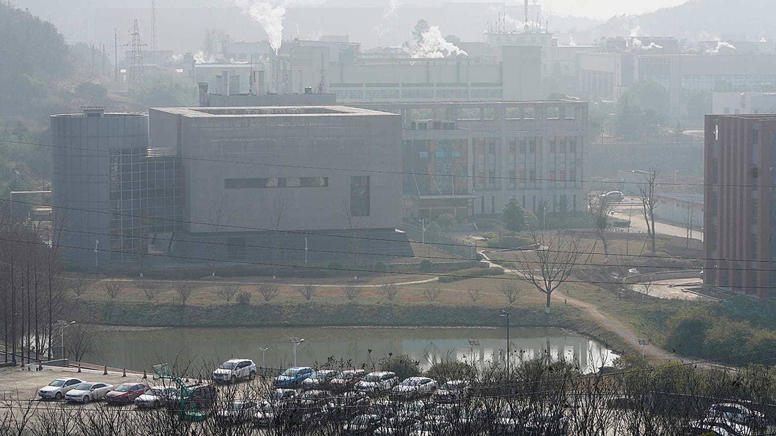 Vuhan Viroloji Laboratuvarı / Wuhan -Hubei- Çin 