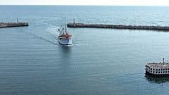 Fischwanderungen - eine Folge der globalen Meereserwärmung