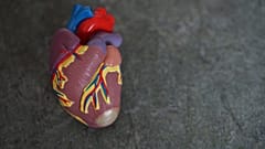 Finnish doctors noticed a surprise drop in the number of heart attack patients they saw last spring.
