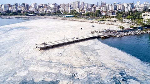 Turkish authorities launch operation to clean up "sea snot"