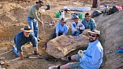 Imagen de la excavación en la que se encontró al "Cooper"