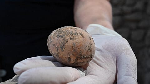 An ancient egg being examined in the hands of an archaeologist