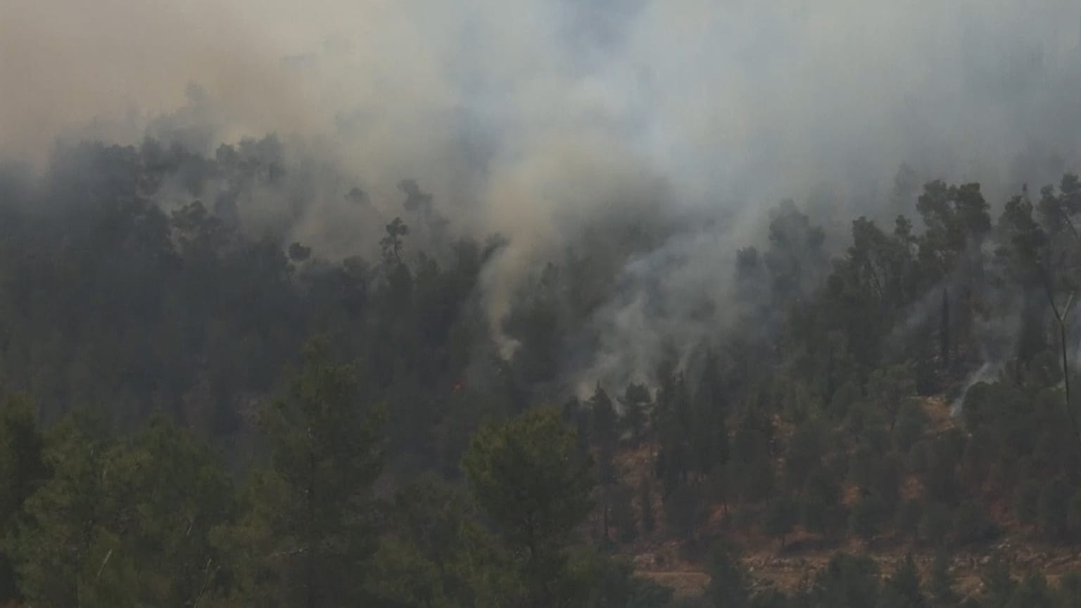 Incêndio obriga ao corte da estrada que liga Jerusalém e Telavive