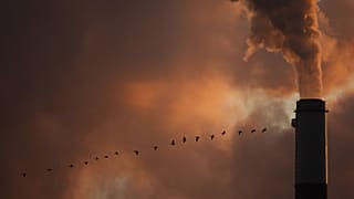 In this Jan. 10, 2009, file photo, a flock of geese fly past a smokestack at a coal power plant near Emmitt, Kansas.