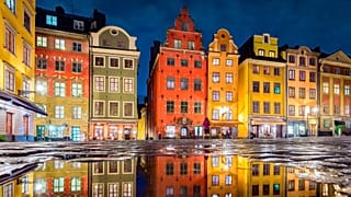 Swedish homes are being powered by biochar