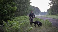 ¿Está usando Bielorrusia los flujos migratorios como arma política?