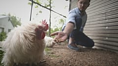 Личинки и их роль в циркулярной экономике