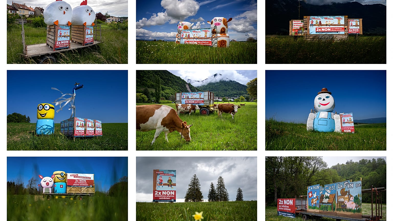 Kampagne auf dem Feld (gegen Pestizid-Initiative)