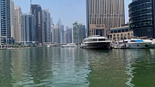 تباعد اجتماعي في يخوت دبي