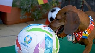 euronews- EM-Experte R2D2