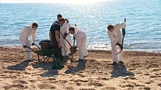 Limpieza de la marea negra en Córcega