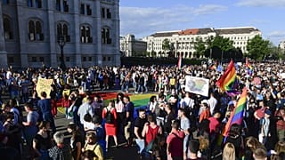 A pedofilellenes törvényjavaslat melegellenes részei ellen tartott demonstráció az Országház előtt