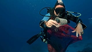 Des plongeurs trouvent des déchets plastiques dans la mer à proximité de Sharm el Sheik, en Egypte