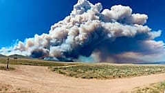 Waldbrand bei Red Lodge in Montana - unweit des Yellowstone Nationalpark