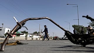 عکس تزئینی است