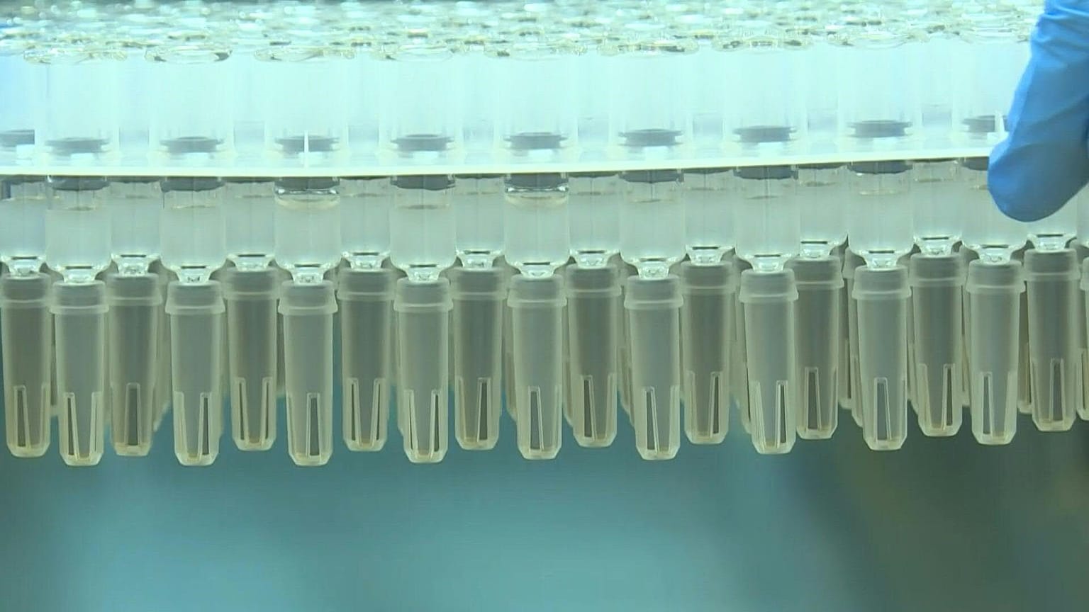 تايوان تنجح بتطوير أول لقاح مضاد لكوفيد-19 محليا