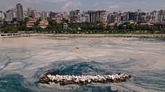 Marmara Denizi'nde müsilaj sorunu