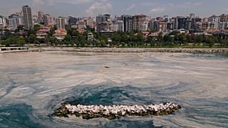 Marmara Denizi'nde müsilaj sorunu