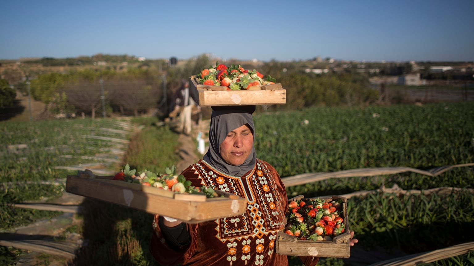 في بيت لاهيا شمال قطاع غزة (أرشيف) 