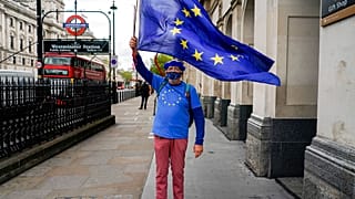 Manifestante antibrexit en el Reino Unido