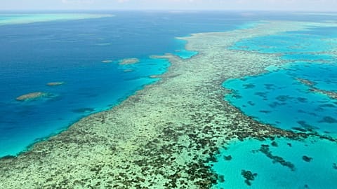 This aerial photos shows the Great Barrier Reef in Australia on Dec. 2, 2017. 