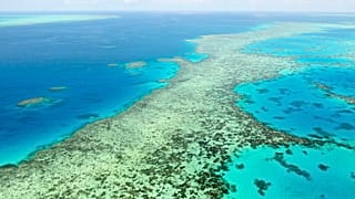 Australie : la Grande Barrière de corail "en danger", selon l'Unesco
