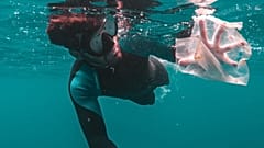 The amount of plastics which are dumped in the oceans annually poses a danger to our already endangered marine life 
