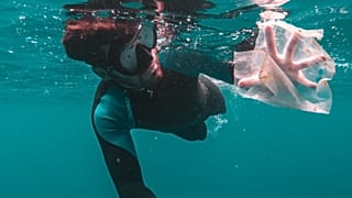 The amount of plastics which are dumped in the oceans annually poses a danger to our already endangered marine life 