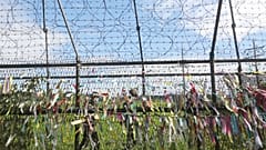 Nordkorea isolierter denn je