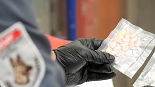Muitos dos estupefacientes são enviados por correio