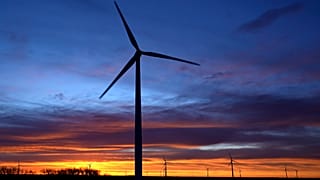 Le Parlement européen confirme l'objectif de neutraltié carbone pour 2050