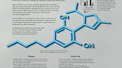 Eine von vielen molekularen Verbindungen des Cannabidiol