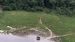 In this file photo dated July 4, 2001, aerial photo, a lone elephant grazes at a clearing in the rain forest of Lope Reserve, Gabon.