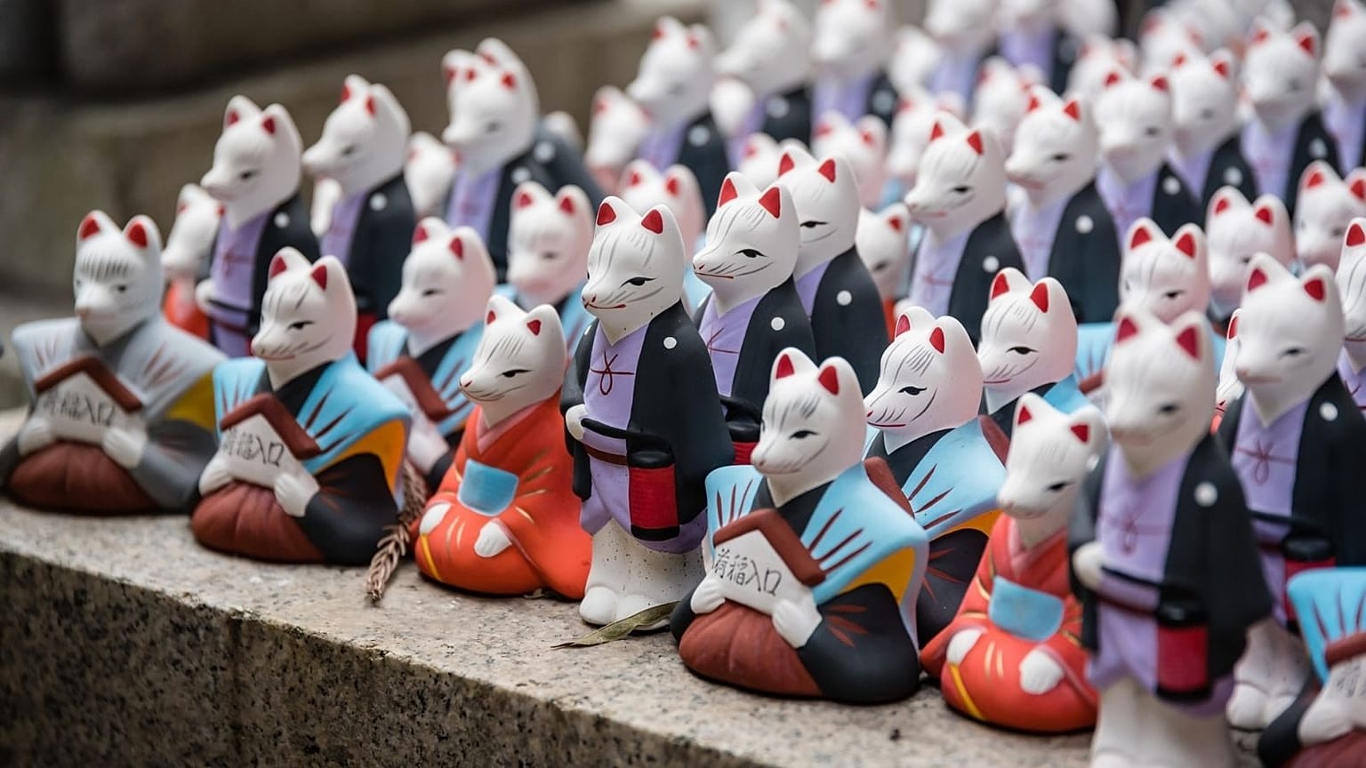 These experiences are made for for enjoying local ecosystems.