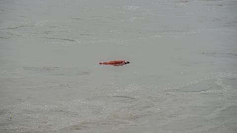 India's Covid graves exposed as Ganges river floods
