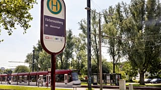 Police said the attack took place in the Muldenweg and Färberwaidweg area of Erfurt on Monday morning.