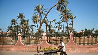 vendeur de bananes, à Marrakech