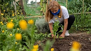 Urban food gardens are now a big part of Rosario's food supply.