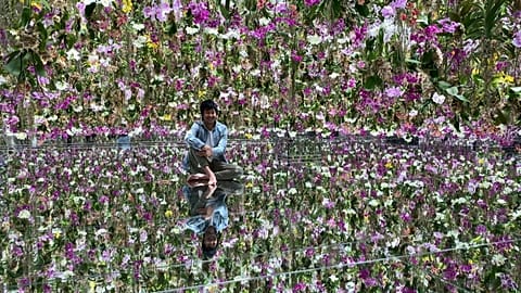 Токио: TeamLab приглашает на виртуальный "Садовый участок"