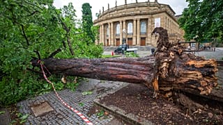 A múltban extrémnek számított, de jobb, ha hozzászokunk