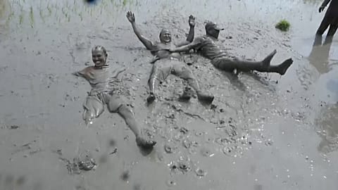 Nepal rice festival